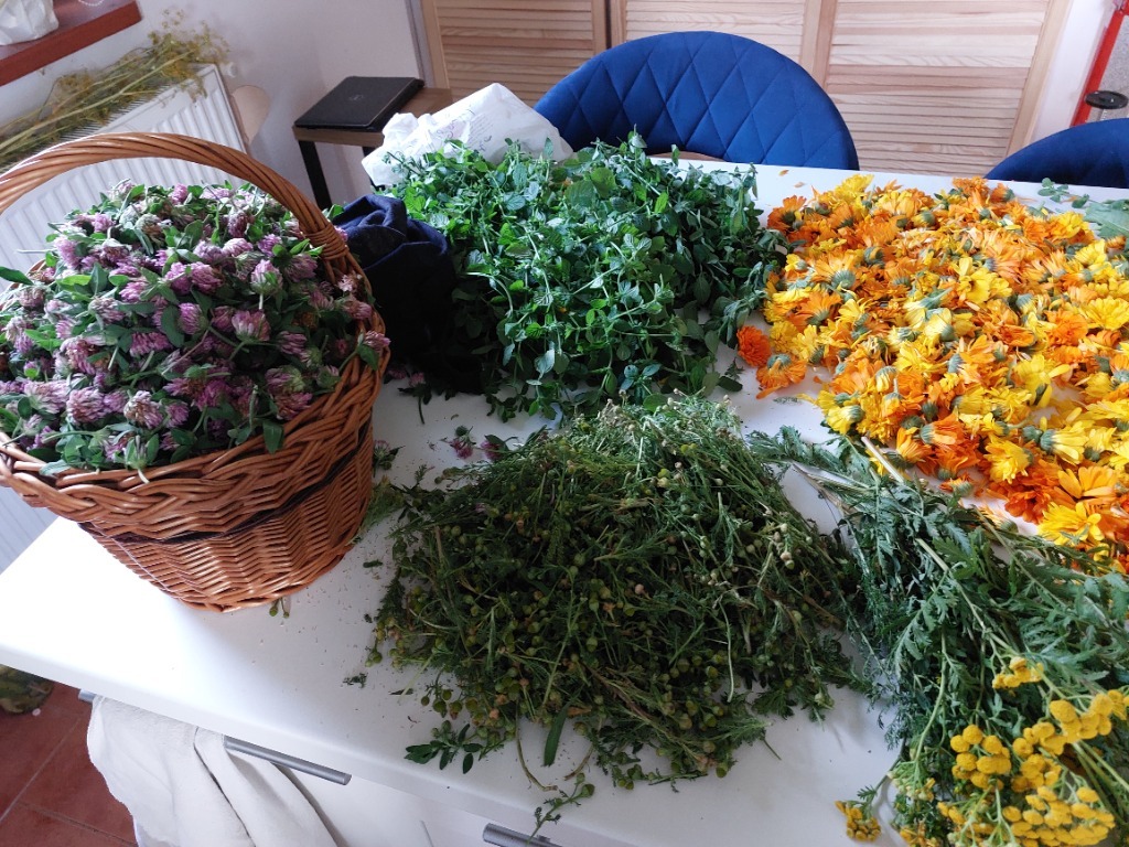 Syrop z melisy | 330 ml - obrazek 4