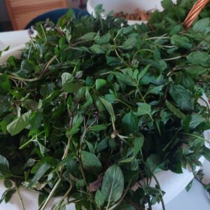 Syrop z mięty 330 ml