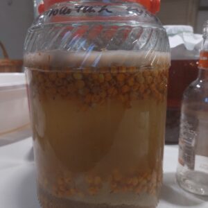 Ocet z rokitnika | 100 ml