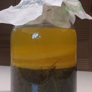 Ocet glistnik jaskółcze ziele  100 ml