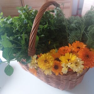 Krem nagietkowy z limonką 15 ml