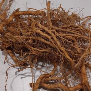 Ashwaganda Witania Ospała | Wyciąg z korzenia | 50 ml