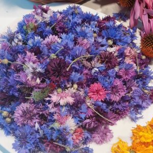 Chaber bławatek wyciąg | 50 ml