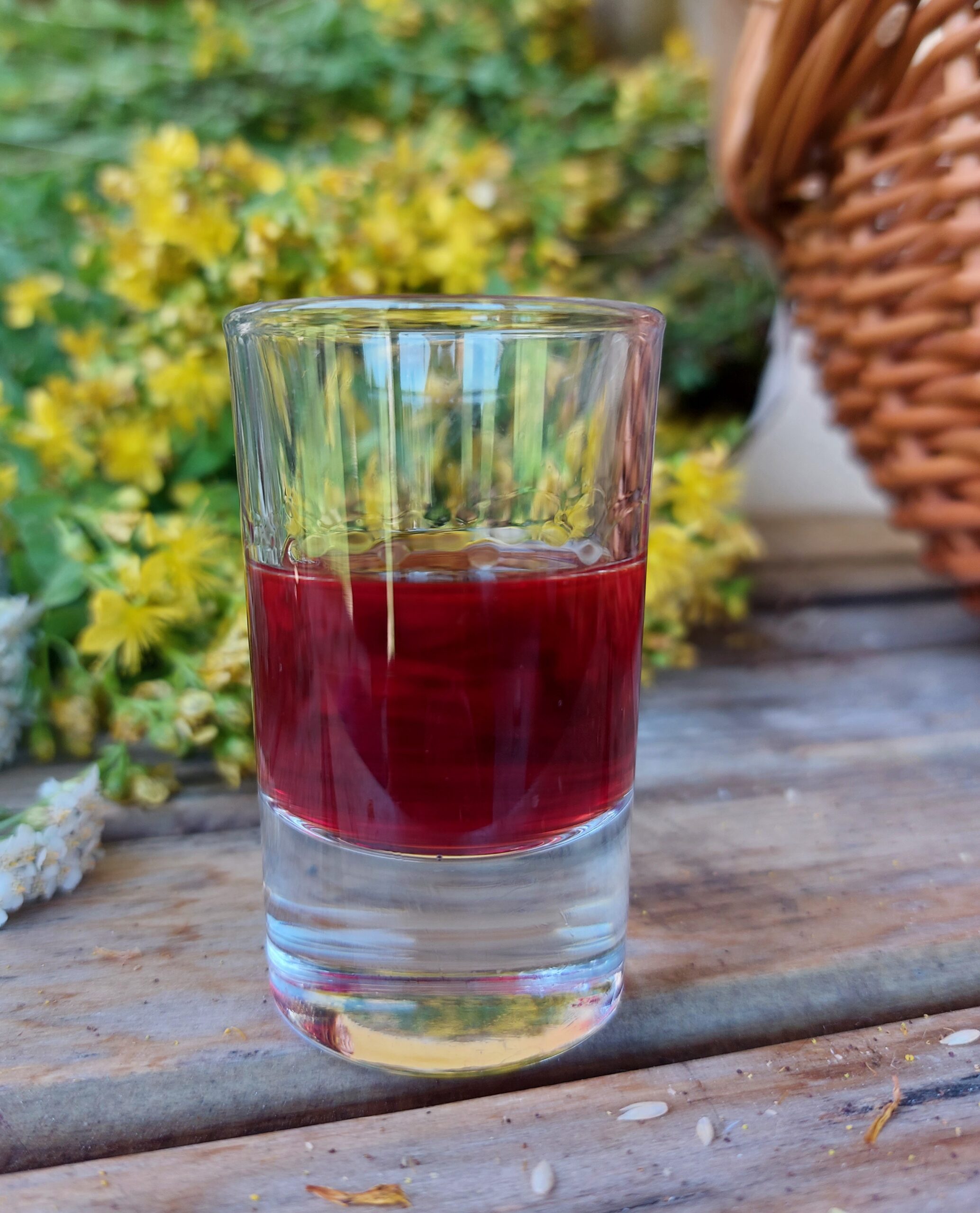 Dziurawiec | Intrakt z kwiatów | 100 ml - obrazek 2