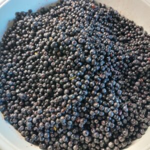 Jagoda leśna sok 100% 330 ml