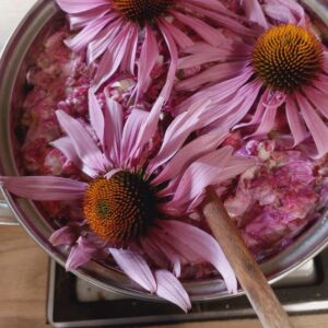 Syrop z Jeżówki Purpurowej, Echinacea z Płatkami Róży | 330 ml