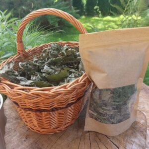 Ostrożeń warzywny / Czarcie żebro Susz 30 g