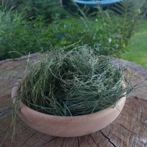 Skrzyp polny ziele | Zioła | 30 g