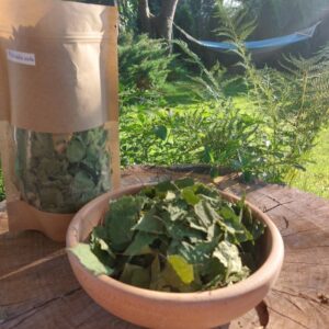 Brzoza liść suszony 50 g