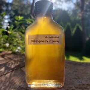 Białoporek brzozowy nalewka | 100 ml