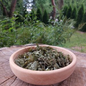 Podagrycznik Susz | Zioła | 30 g