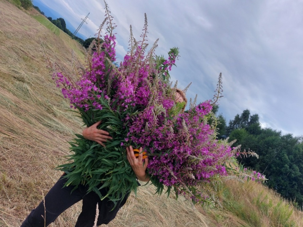 Syrop wierzbówka kiprzyca | 330 ml - obrazek 2