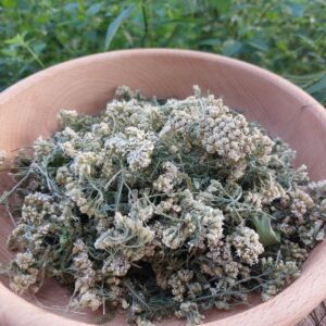 Krwawnik susz | Zioła | 30 g