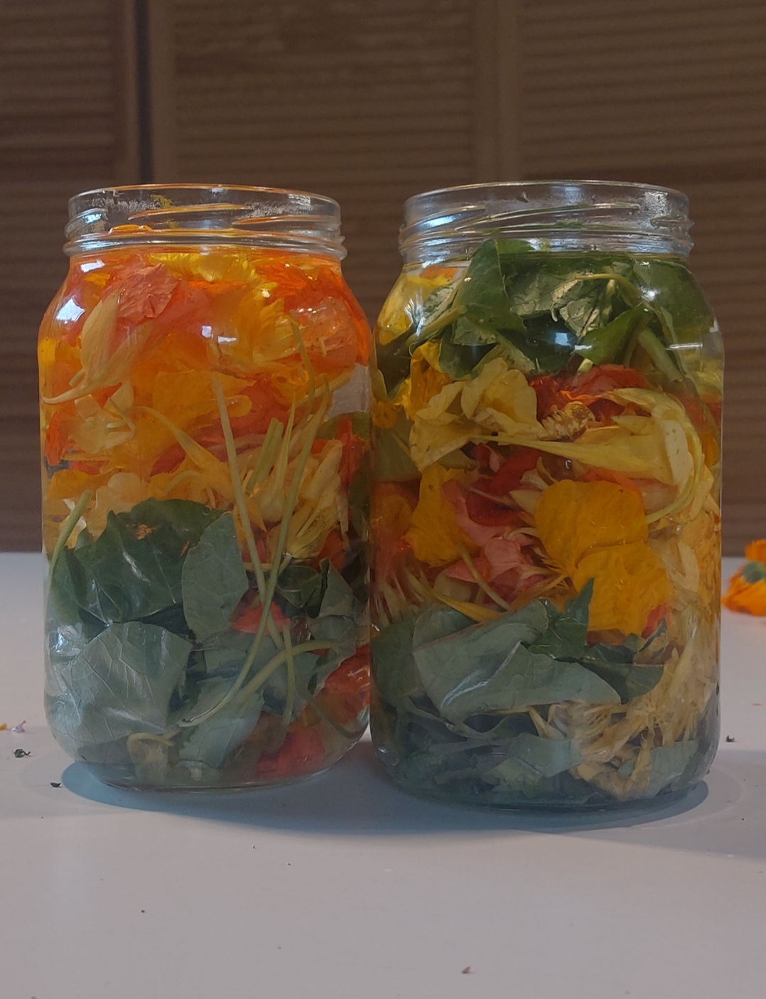 Nasturcja ekstrakt. Naturalny antybiotyk 100 ml - obrazek 3