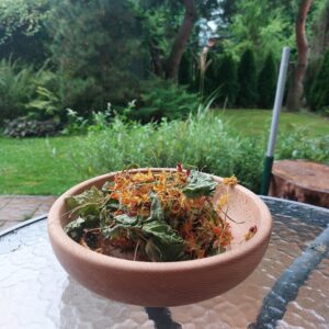 Nasturcja Susz | Zioła | 20 g