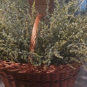 Piołun Susz | Zioła | 20 g