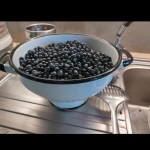 Konfitura Jagoda leśna 220g