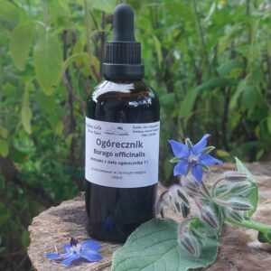 Ogórecznik ekstrakt z ziela 100 ml