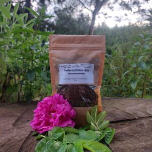 Dzika róża fermentowana 25g