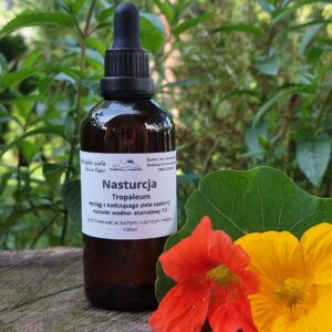 Nasturcja ekstrakt. Naturalny antybiotyk 100 ml