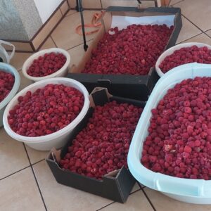 Malina, sok 100%, 330 ml