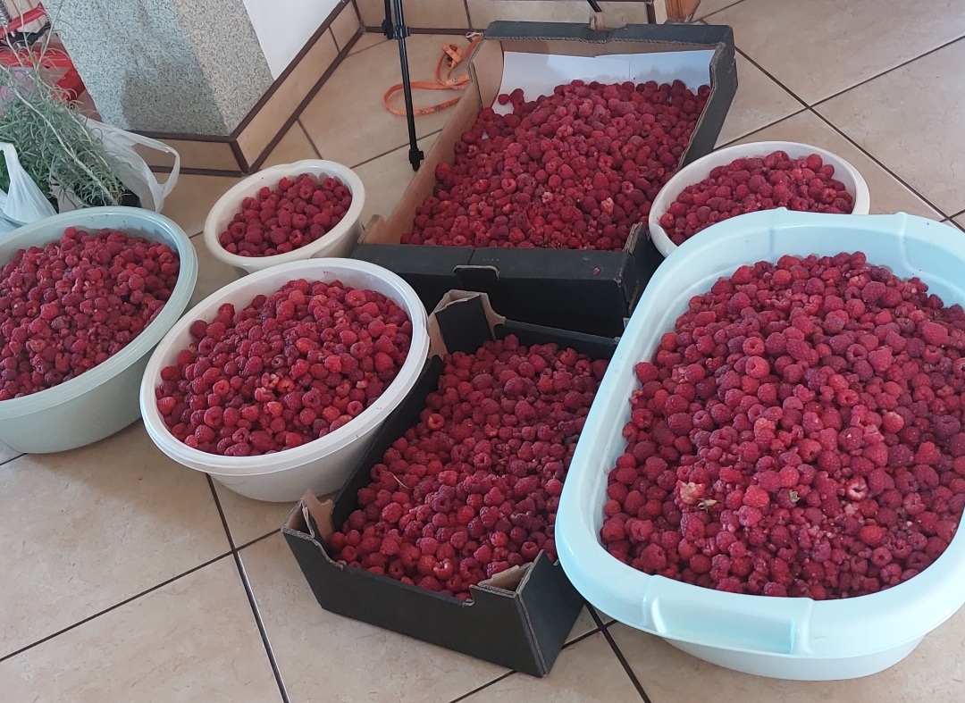 Konfitura malina 100g - obrazek 3