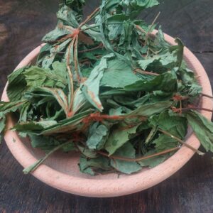 Kasztanowiec Liść 30g