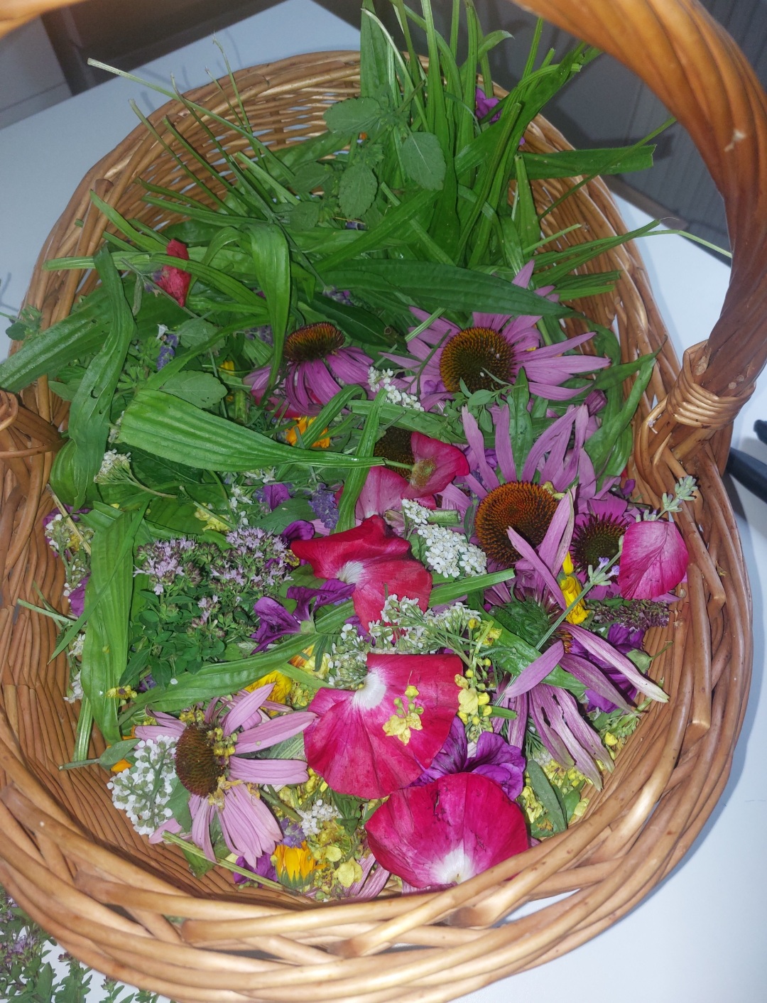 Ziołowy Ogród, wsparcie odporności, Syrop 330ml - obrazek 3