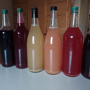 Ocet Brzoskwinia 100ml