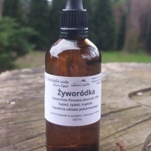 Żyworódka wyciąg 100ml